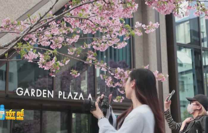 Sóc Trăng Ngày mới (22-02-2024)