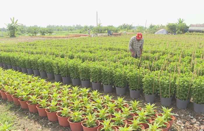 Sóc Trăng ngày mới 22-12-2020