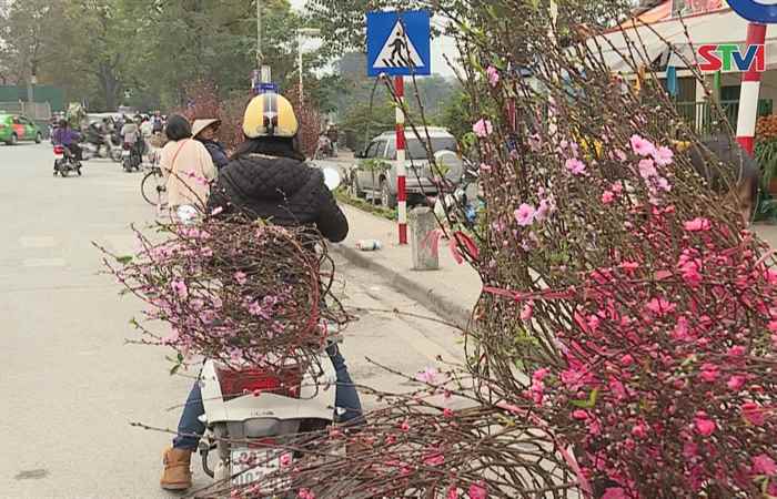 Sóc Trăng ngày mới 23-12-2020