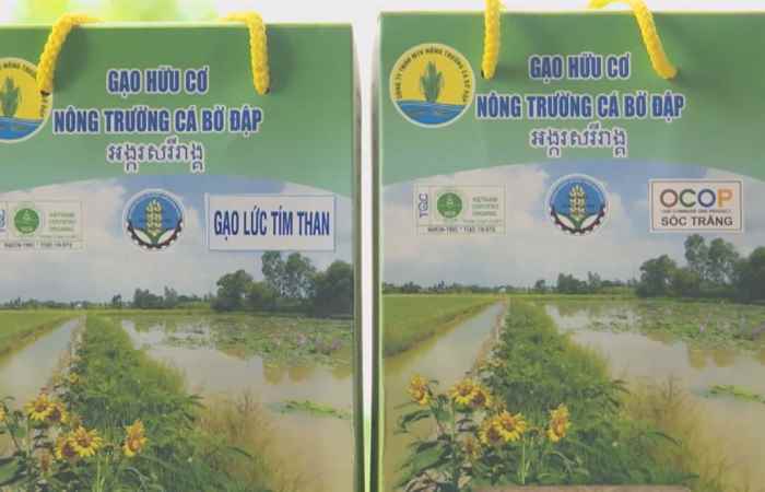 Sóc Trăng ngày mới 24-12-2020