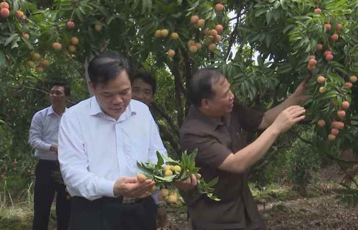 Sóc Trăng ngày mới (26-12-2019)