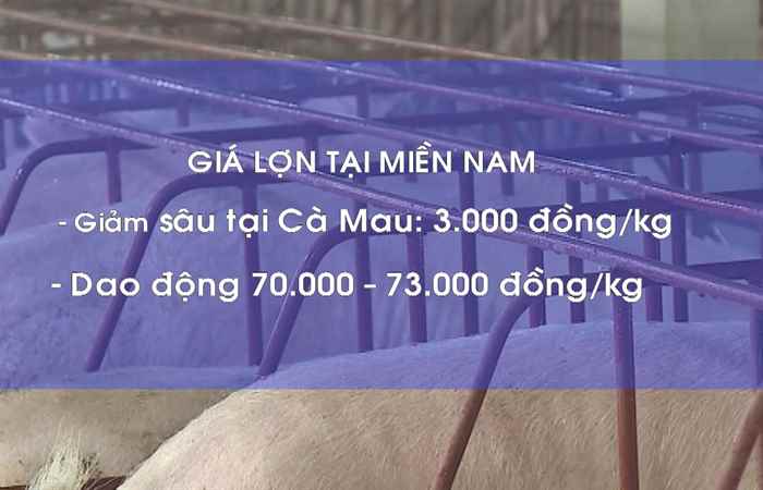 Sóc Trăng ngày mới 27-11-2019