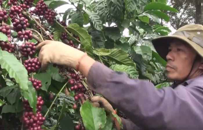 Sóc Trăng ngày mới 28-06-2020