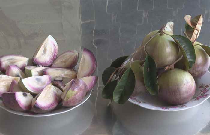 Sóc Trăng ngày mới (28-06-2021)