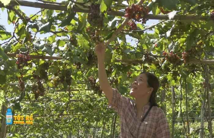  Sóc Trăng Ngày mới (28-06-2022)