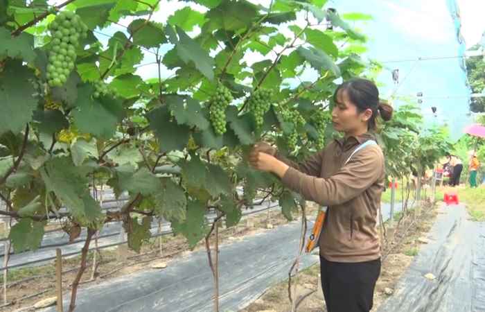 Sóc Trăng ngày mới (29-06-2025)