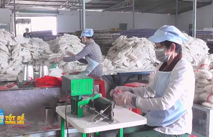 Sóc Trăng Ngày mới (29-11-2021)