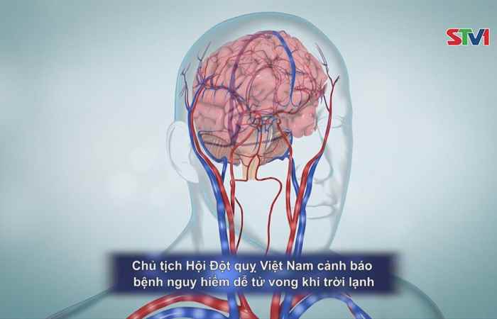 Sống khỏe 360 20-01-2019