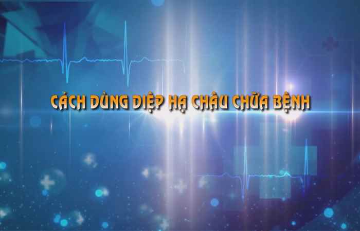  Cách dùng Diệp hạ châu chữa bệnh (Sống khỏe 360 - ngày 08-08-2019)