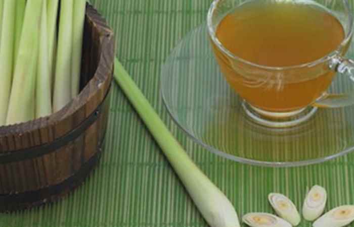 Sống khỏe 360 - Cây sả vừa chữa bệnh vừa làm đẹp  
