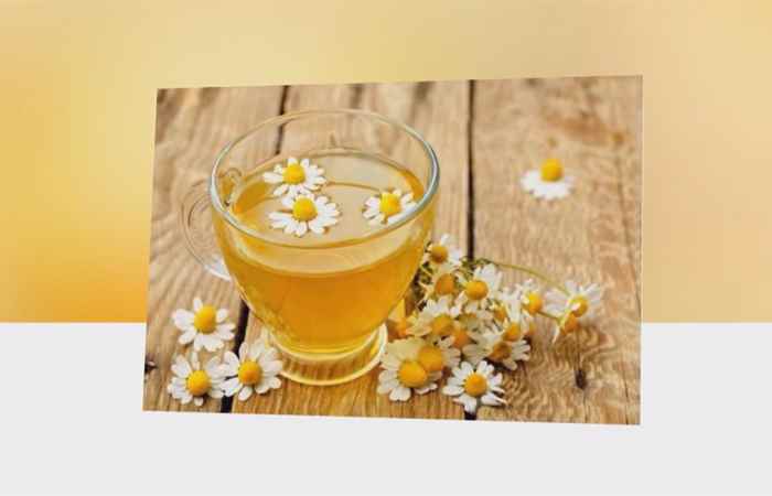 Sống khỏe 360 - Mùa xuân thương vị trà hoa 26-01-2020