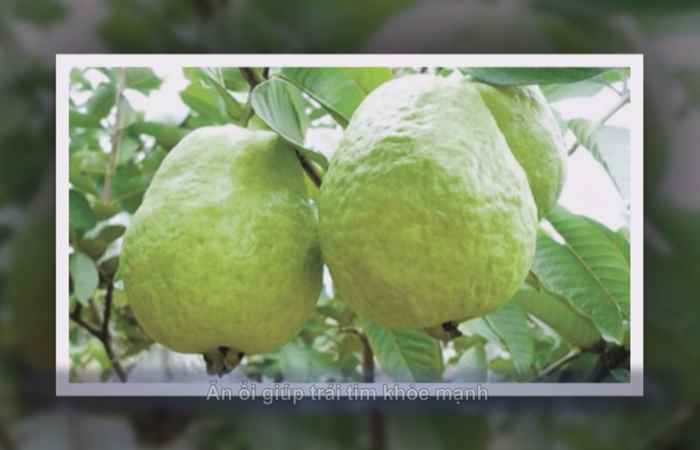 Sống khỏe 360 - Nhân Sâm công dụng và lưu ý 09-12-2019