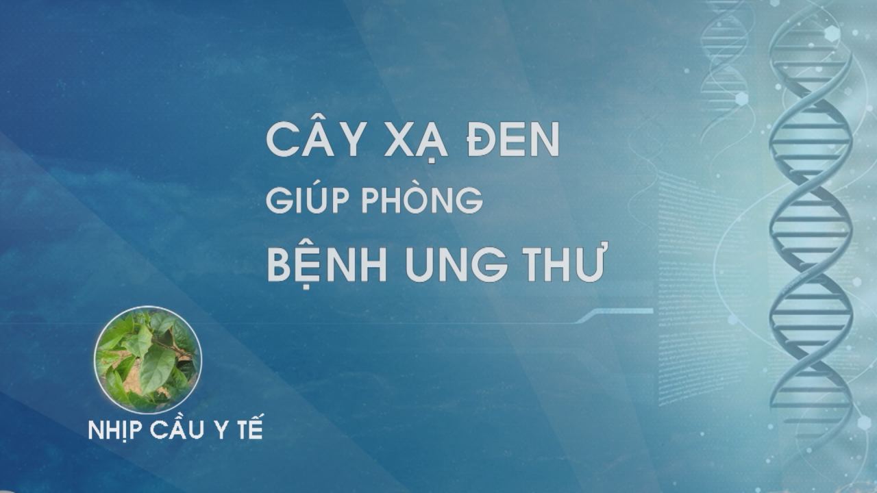 Nhịp cầu y tế - Cây Xạ đen giúp phòng bệnh ung thư 16-02-2017