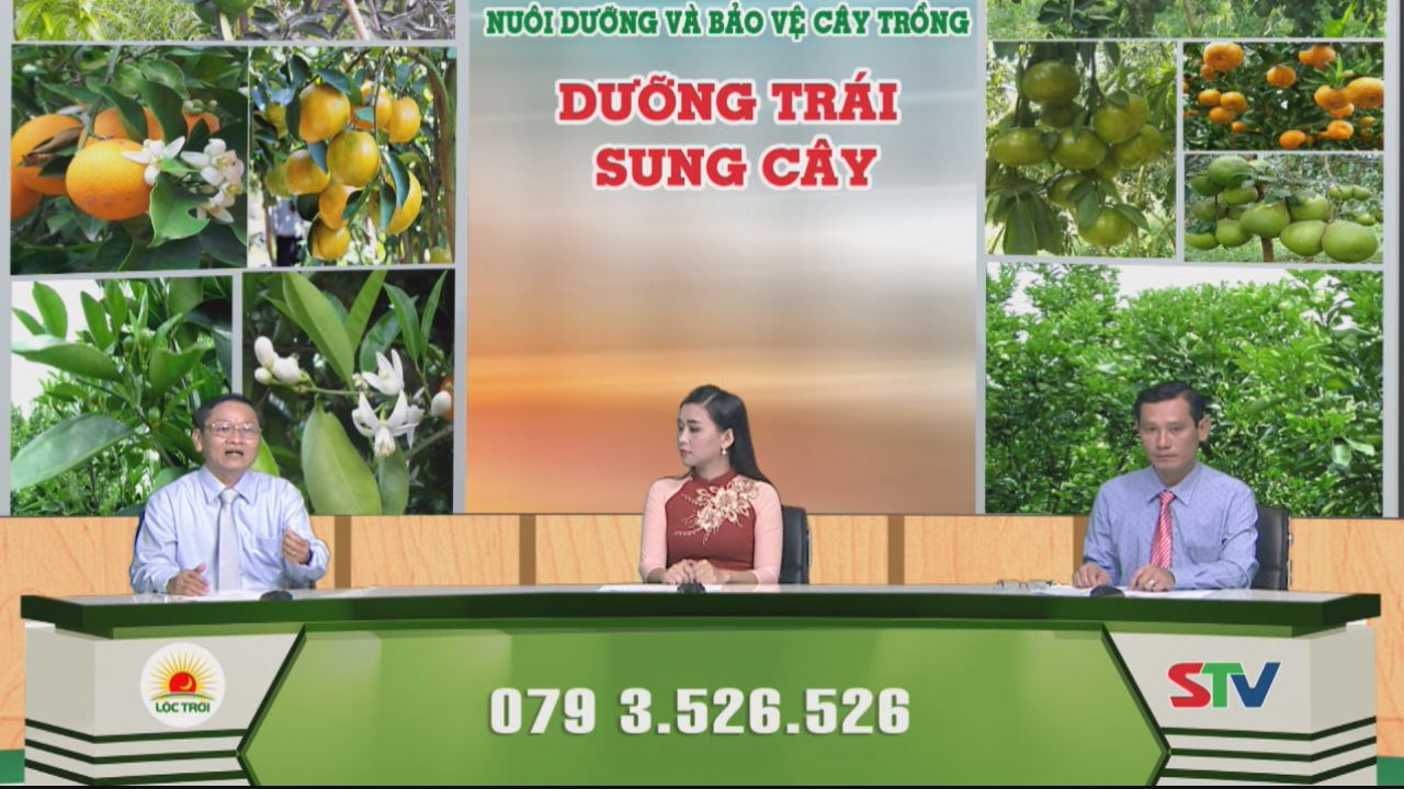 Chương trình tọa đàm - Nuôi dưỡng và bảo vệ cây trồng 23-03-2017