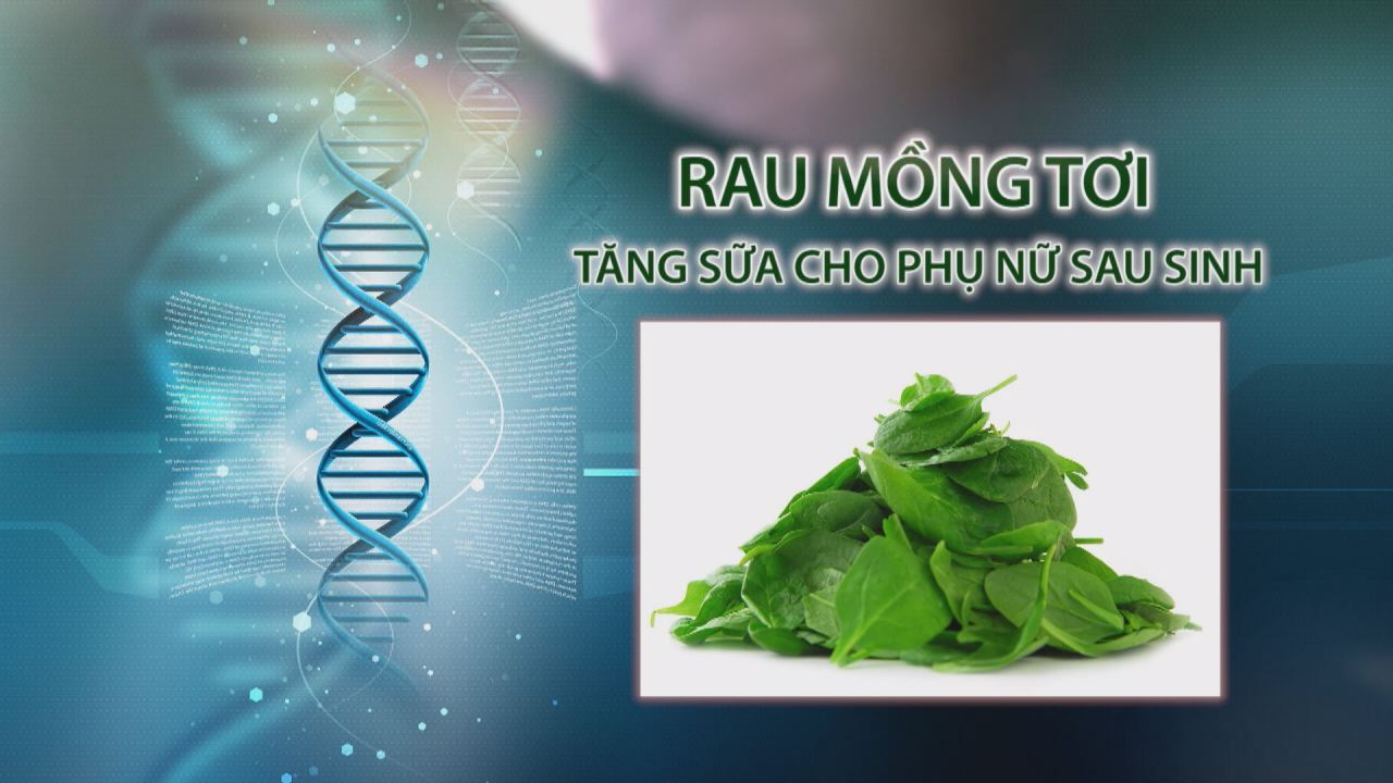 Nhịp cầu y tế 30-03-2017