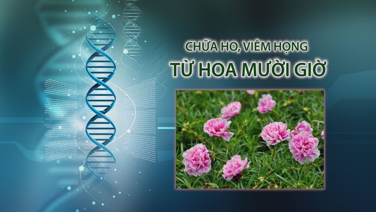 Nhịp cầu y tế 31-03-2017