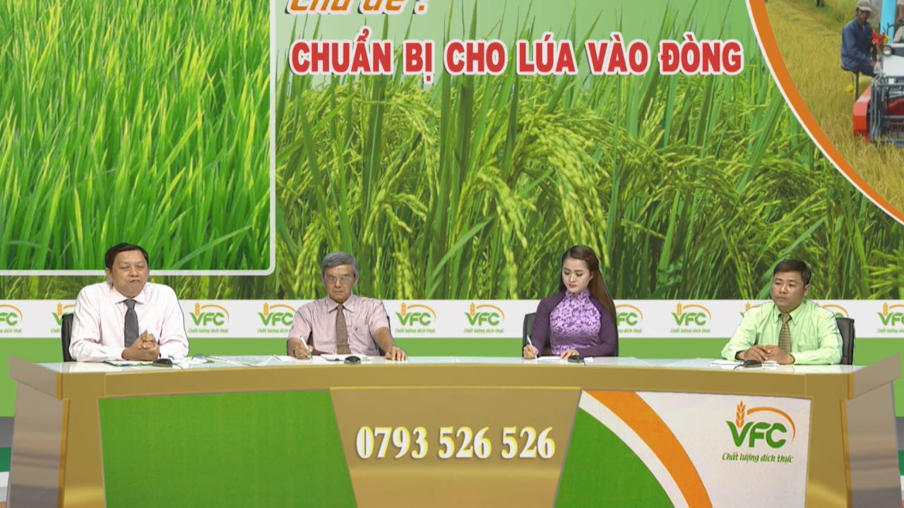 Tọa đàm VFC-Chuẩn bị cho lúa vào đòng 17-07-2016