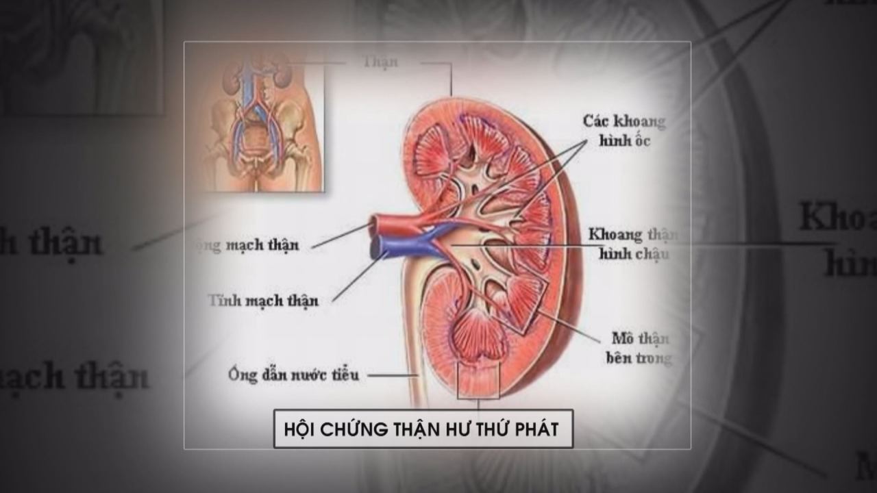 Nhịp cầu y tế 11-08-2016