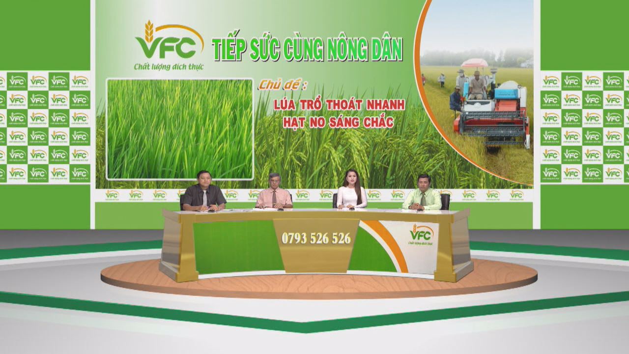 Tọa Đàm VFC - Lúa Trổ Thoát Nhanh Hạt No Sáng Chắc 20-8-2016