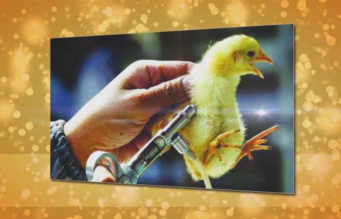 Sức khỏe cho mọi người Sử dụng kháng sinh thế nào cho đúng 23-11-2018
