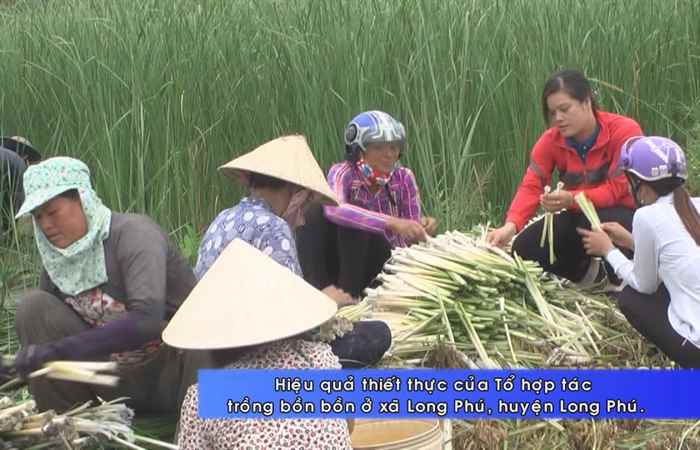 Thời sự Khmer 01-02-2018