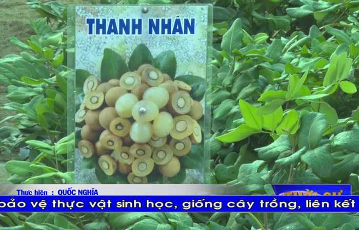 Thời sự Khmer 03-03-2020