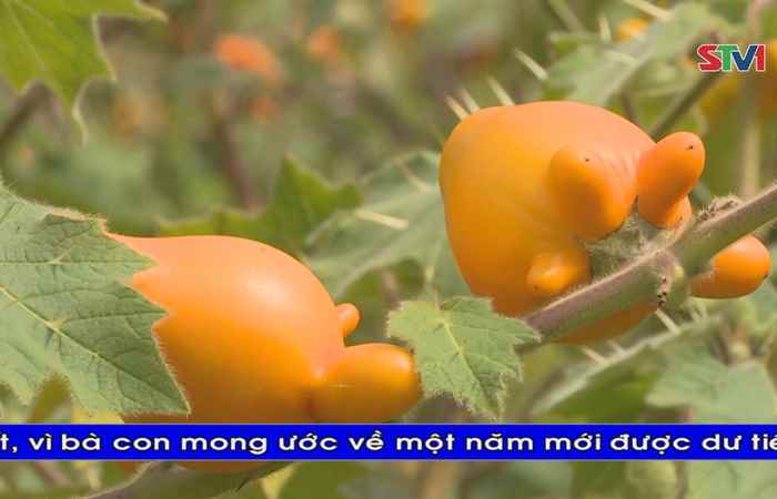 Thời sự Khmer 06-01-2018