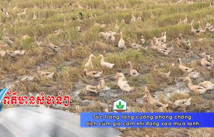 Thời sự Khmer 06-12-2017