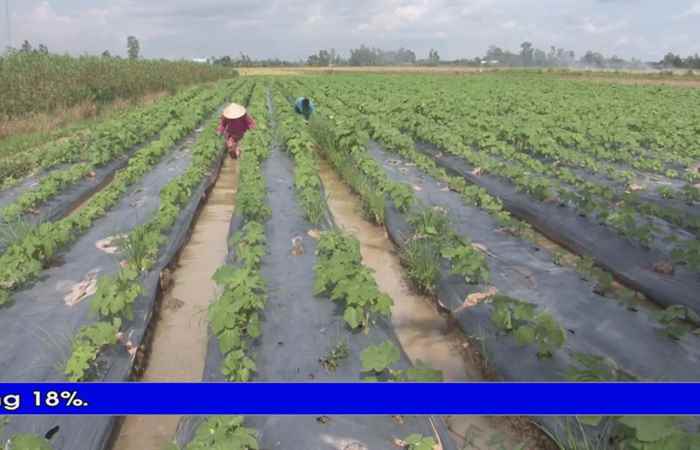 Thời sự Khmer 08-10-2018