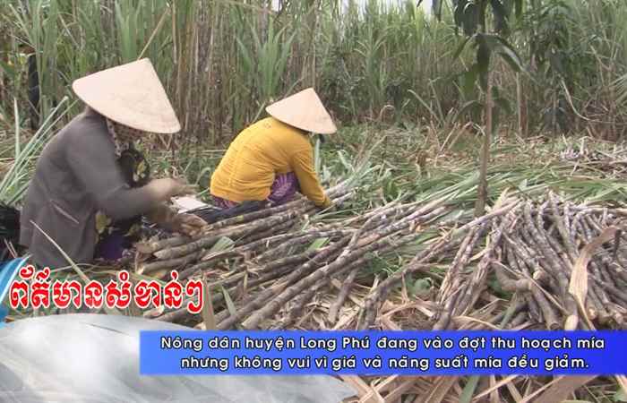 Thời sự Khmer 16-01-2018