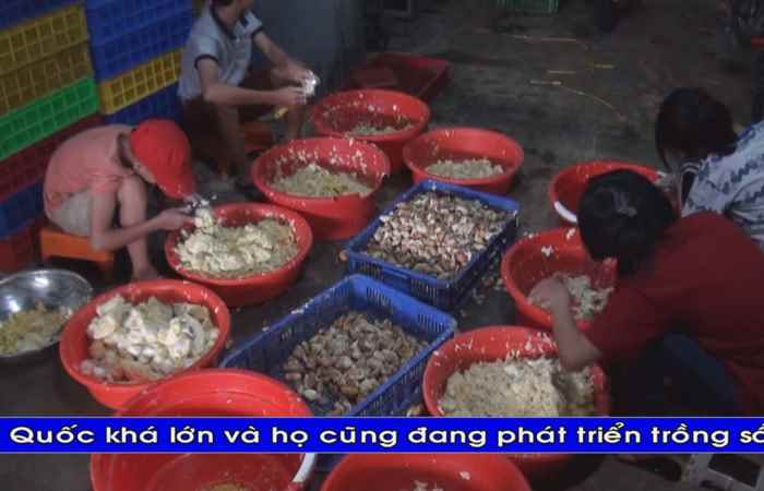 Thời sự Khmer 30-08-2018