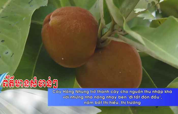 Thời sự tiếng Khmer (01-06-2022)