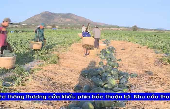  Thời sự tiếng Khmer (07-08-2022)