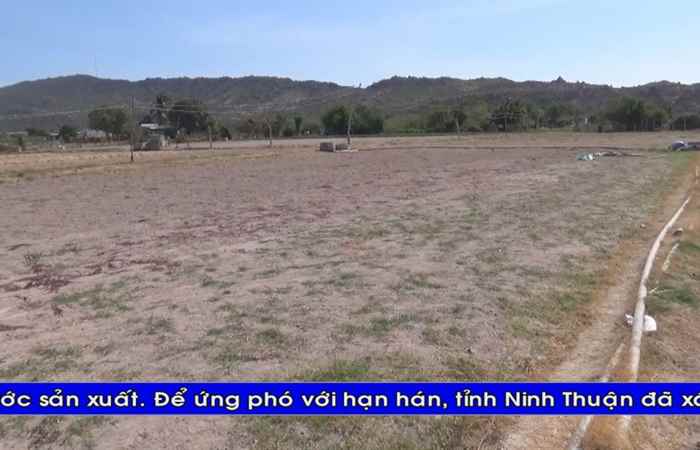 Thời sự tiếng Khmer (08-02-2020)