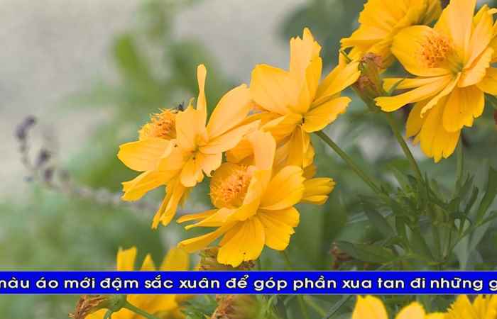 Thời sự tiếng Khmer (12-01-2021)