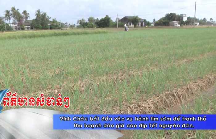 Thời sự tiếng Khmer (14-11-2020)