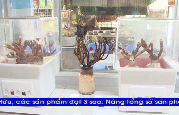  Thời sự tiếng Khmer (16-01-2022)