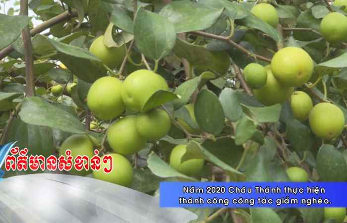 Thời sự tiếng Khmer (17-01-2021)