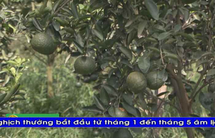 Thời sự tiếng Khmer (22-02-2020)