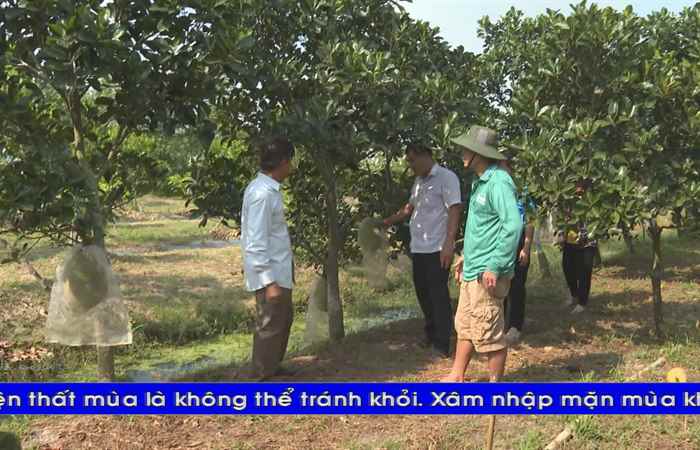 Thời sự tiếng Khmer (23-02-2025)