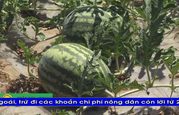 Thời sự tiếng Khmer (28-02-2020)