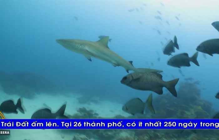  Thời sự tiếng Khmer (29-10-2022)