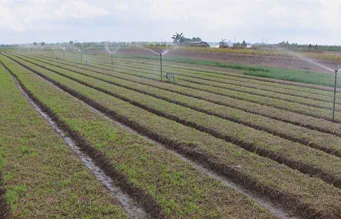  Thời sự trưa (02-11-2023)