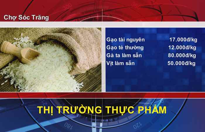 Thông tin Dịch vụ, Thị trường (25-02-2022)