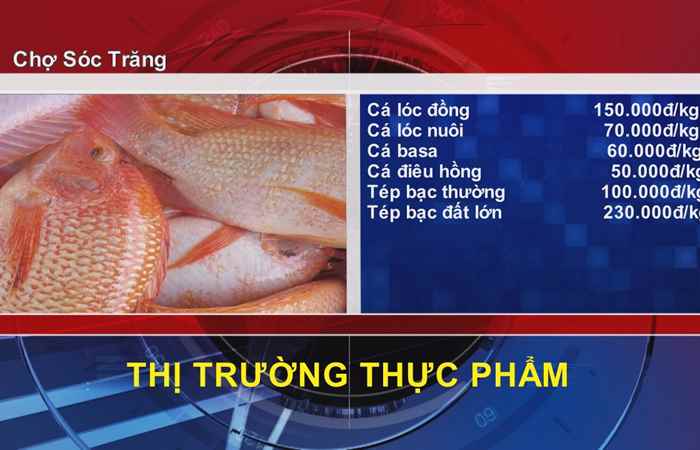  Thông tin Dịch vụ Thị trường (28-01-2022)