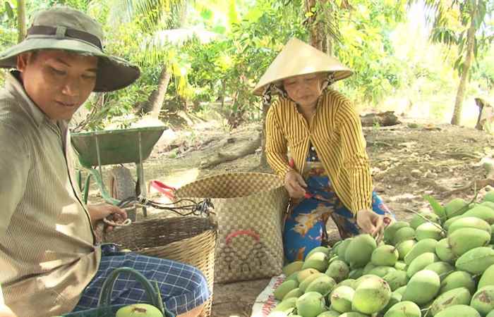 Tiến tới Đại hội Đảng - Đảng bộ Cù Lao Dung chuẩn bị chu đáo văn kiện đại hội (27-07-2020)