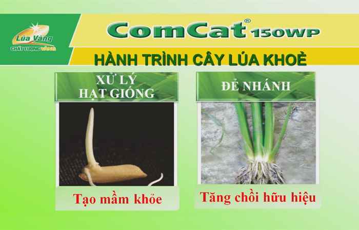 Tiến tới kiến thức vàng 20-04-2018