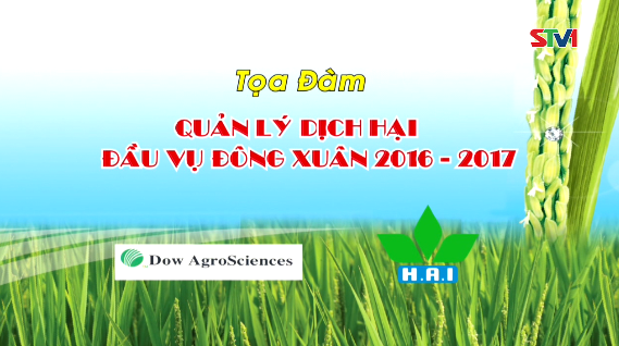 Chương trình tọa đàm BCC - Tiếp sức nhà nông: Quản lý dịch hại đầu vụ đồng xuân 2016 - 2017