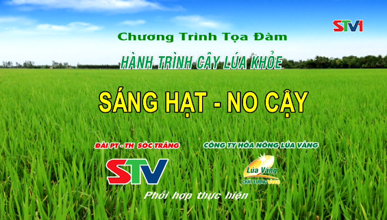Chương trình tọa đàm Hành trình cây lúa khỏe - Sáng hạt, no cậy 17-08-2016
