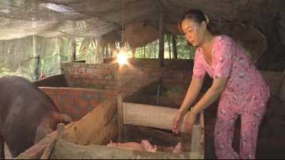 Trang tin địa phương Huyện Long Phú 24-04-2016